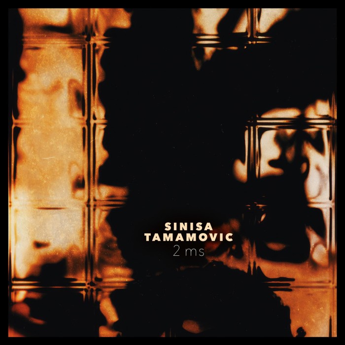 Sinisa Tamamovic - 2Ms on Systematic Recordings